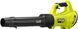 Садова повітродувка Ryobi RY18BLXD0 610583 фото 1
