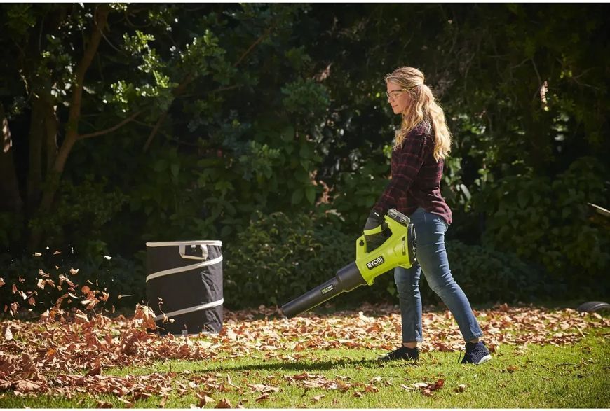 Садова повітродувка Ryobi RY18BLXD0 610583 фото