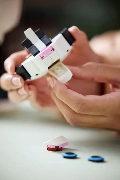 Блочный конструктор LEGO Ideas Черно-белый кот (21349) 613376 фото