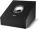 Акустичні колонки Polk Audio Monitor XT90 Black 602027 фото 2