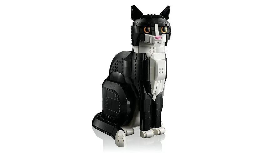 Блочный конструктор LEGO Ideas Черно-белый кот (21349) 613376 фото