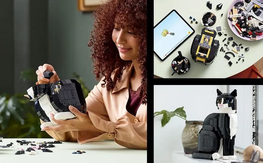Блочный конструктор LEGO Ideas Черно-белый кот (21349) 613376 фото