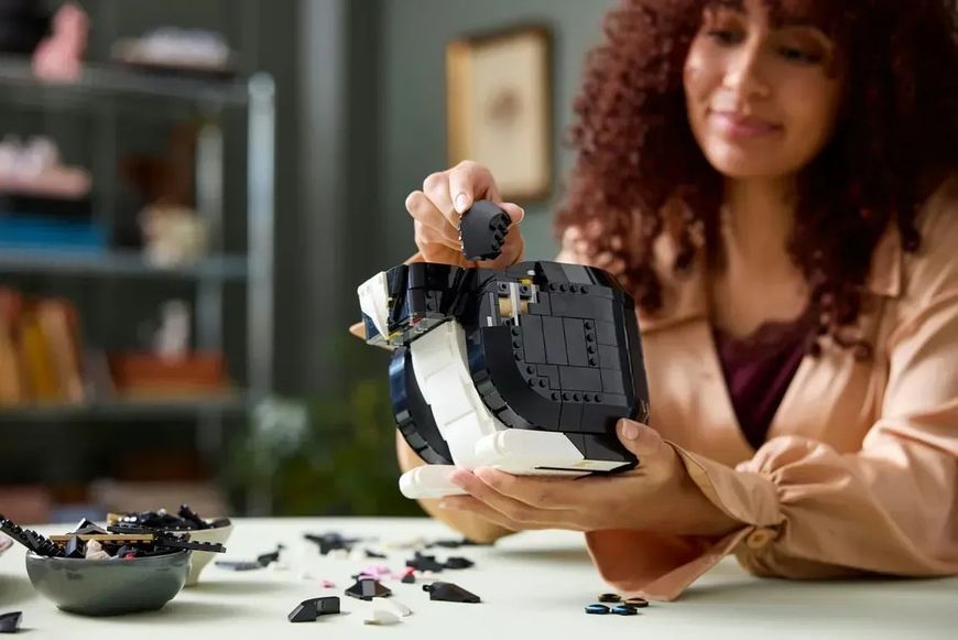 Блочный конструктор LEGO Ideas Черно-белый кот (21349) 613376 фото