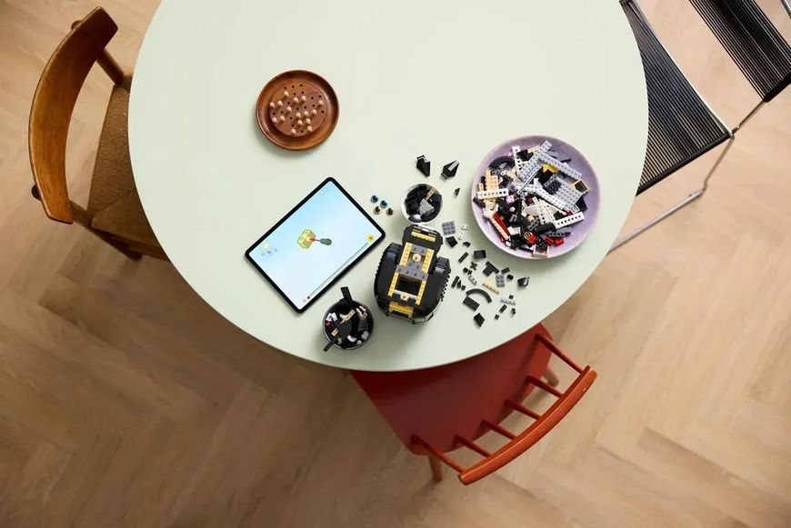 Блочный конструктор LEGO Ideas Черно-белый кот (21349) 613376 фото