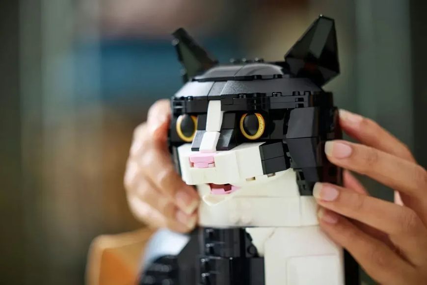 Блочный конструктор LEGO Ideas Черно-белый кот (21349) 613376 фото