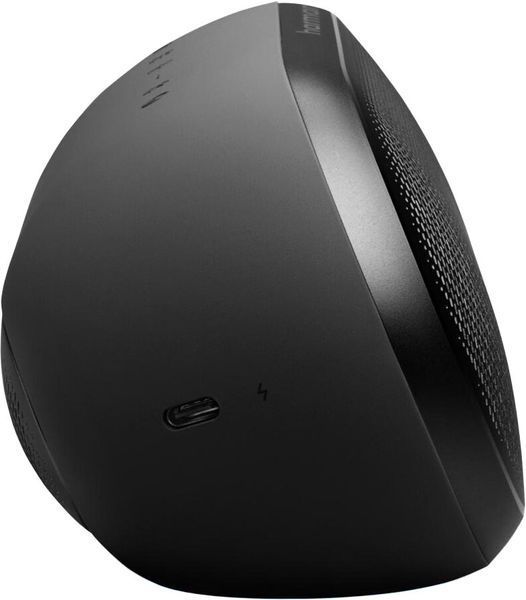 Мобільна колонка HARMAN KARDON Luna 2 Чорний 2144255 фото