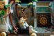 Блоковий конструктор LEGO Indiana Jones Храм Золотого Ідола (77015) 613465 фото 26