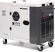 Дизельный генератор Daewoo Power DDAE 11000DSE-3 010181 фото 1