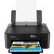 Принтер Canon PIXMA TS704 + Wi-Fi (3109C007, 3109C027) 039847 фото 2