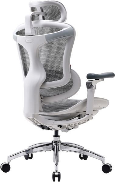 Игровое кресло SIHOO Doro C300 PRO Белый 1124950 фото