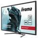 Монитор iiyama G-Master G4380UHSU-B1 036885 фото 3