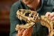 Блочный конструктор LEGO Jurassic World Окаменелости динозавров: Тиранозавр рекс (76968) 613501 фото 17