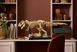 Блочный конструктор LEGO Jurassic World Окаменелости динозавров: Тиранозавр рекс (76968) 613501 фото 27