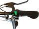 Електросамокат RIDER Monster 45км 350Вт 10" Чорний 334242 фото 7