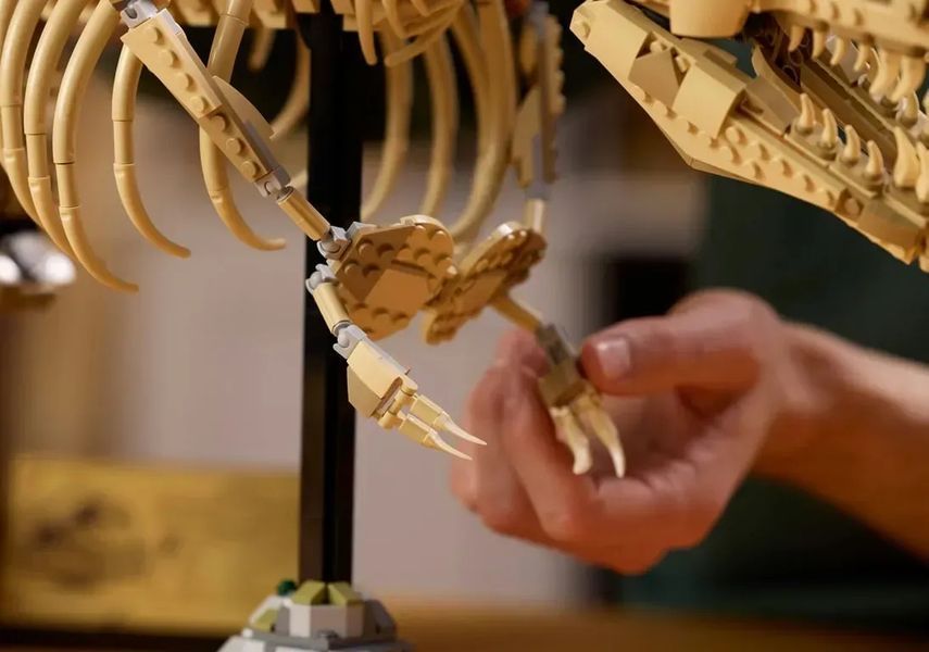 Блочный конструктор LEGO Jurassic World Окаменелости динозавров: Тиранозавр рекс (76968) 613501 фото
