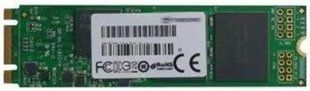SSD накопитель Qnap Flash 256GB (SSDM2080256GBB01) 000945 фото