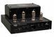 Интегральный усилитель Taga Harmony HTA-25B 592551 фото 4