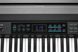 Цифрове піаніно KURZWEIL KA-70 Чорний 2008920 фото 6