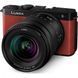 беззеркальный фотоаппарат Panasonic Lumix DC-S9 kit (20-60mm) Crimson Red (DC-S9KE-R) 004272 фото 2