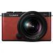 беззеркальный фотоаппарат Panasonic Lumix DC-S9 kit (20-60mm) Crimson Red (DC-S9KE-R) 004272 фото 1