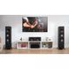 Фронтальные акустические колонки Polk audio Reserve R700 Black 043317 фото 8