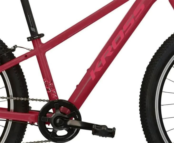 Велосипед гірський (MTB) Kross Lea Jr 1.0 24 2024 Burgurdy 603313 фото
