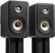Акустичні колонки Polk Audio Signature Elite ES15 Black 602036 фото 1
