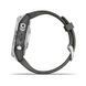 Смарт-часы Garmin Fenix 7S Pro Solar Silver w. Graphite Band (010-02776-00/01) 614158 фото 3