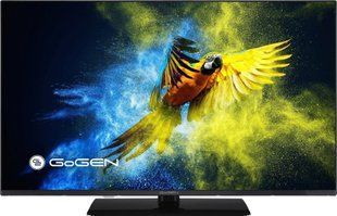 Телевизор Gogen TVF32M340STWEB 599009 фото