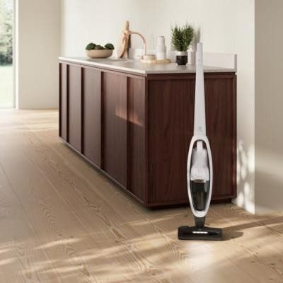 Вертикальний + ручний пилосос (2в1) Electrolux ES52HB25SH 008114 фото