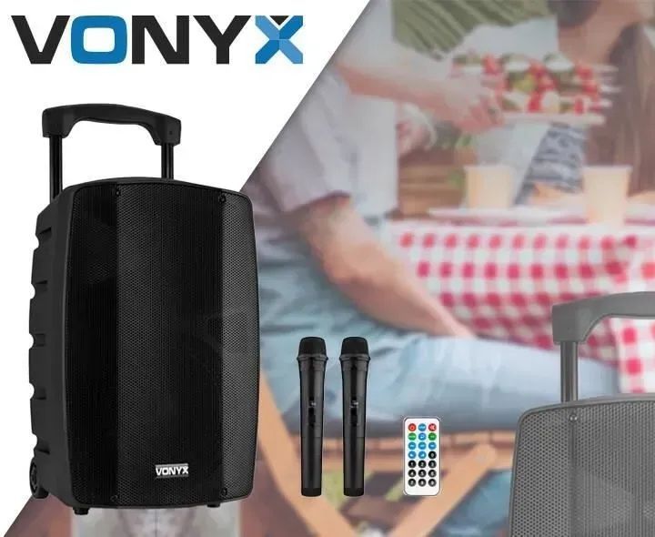 Акустическая система Vonyx VSP200 Black 601365 фото