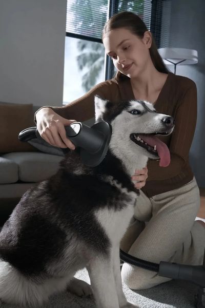 Вертикальний + ручний пилосос (2в1) Xiaomi Vacuum Cleaner G20 Max 567943 фото