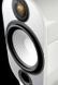 Акустичні колонки Monitor Audio Apex A10 Black 589468 фото 7