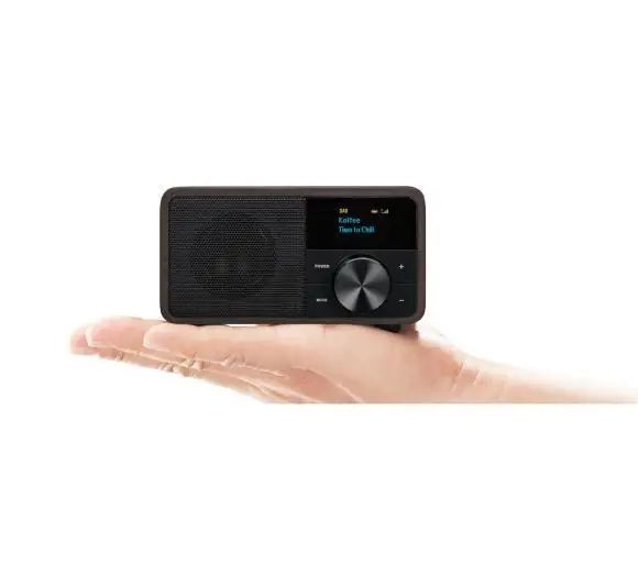 Радіоприймач Sangean GENUINE MINI dab+ DDR-7 (Nut) 038793 фото