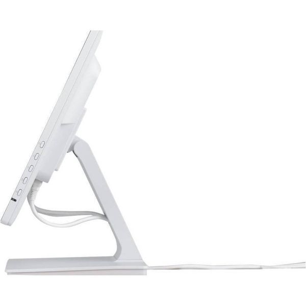 Монитор iiyama ProLite T2452MSC-W1 023485 фото