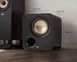 Сабвуфер POLK AUDIO Signature Elite ES8 Чорний 2072635 фото 9
