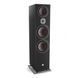 Фронтальні акустичні колонки DALI Oberon 9 Black Ash 043122 фото 3