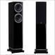 Акустичні колонки Fyne Audio F501SP Piano Gloss Black 003517 фото 3
