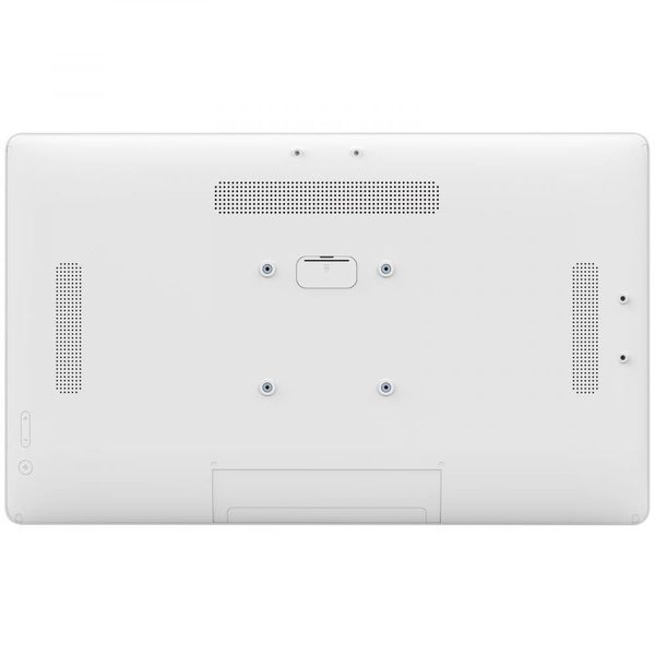 Информационный дисплей iiyama TW2424AS-W1 018509 фото
