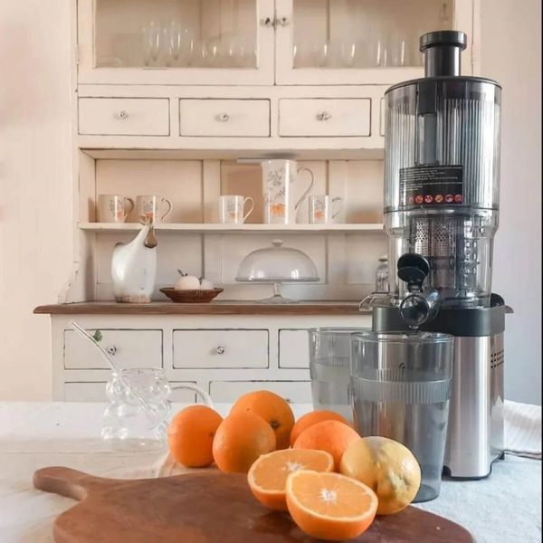 Соковыжималка тихоходная AMZCHEF CE-ZM1902B-SV e2647023 фото