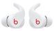 Внутрішньоканальні навушники BEATS Fit Pro ANC Білий 456945 фото 3