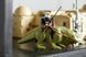 Блочный конструктор LEGO Star Wars Mos Eisley Cantina (75290) 613532 фото 17