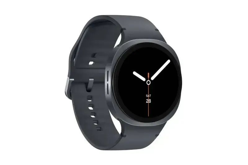 Смарт-годинник Samsung Galaxy Watch8 40 mm Graphite (SM-L320NDAA) 612722 фото
