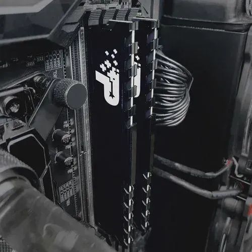 Пам'ять для настільних комп'ютерів Patriot 16 GB (2x8GB) DDR4 3200 MHz Signature Line Premium (PSP416G3200KH1) 340399 фото