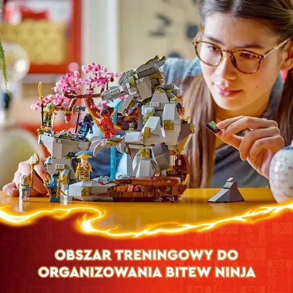 Блоковий конструктор LEGO Ninjago Храм каменю дракона (71819) 613379 фото