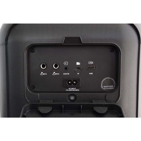 Power Audio BLAUPUNKT PB6LED 120W, Bluetooth, акумулятор 11 годин, FM-тюнер, мікрофон у комплекті, вхід USB 2092153 фото