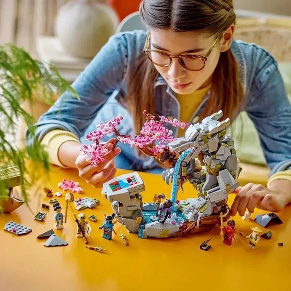 Блоковий конструктор LEGO Ninjago Храм каменю дракона (71819) 613379 фото