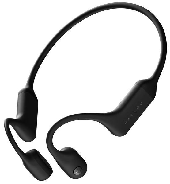 Навушники з мікрофоном Haylou PurFree BC01 Black 028684 фото