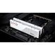 Пам'ять для настільних комп'ютерів G.Skill 32 GB (2x16GB) DDR5 5600 MHz Ripjaws S5 White (F5-5600J4040C16GX2-RS5W) 027700 фото 4