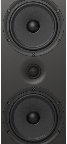 Підлогова акустична колонка PYLON AUDIO Opal 23 MKII Чорний ясен (1 шт.) 2141032 фото